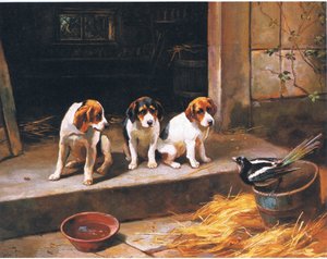 The Uninvited Guest