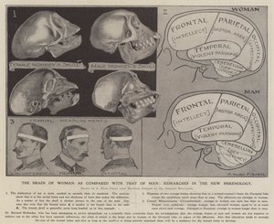 The Brain of Woman as Compared with That of Man: Researches in the New Phrenology