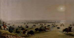 A Surround of Buffalo by Indians by Alfred Jacob Miller