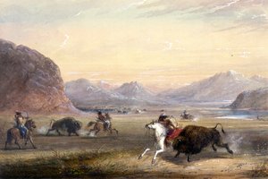 Buffalo Hunting, near Independence Rock by Alfred Jacob Miller