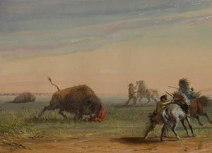Buffalo Turning on His Pursuers by Alfred Jacob Miller