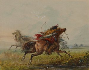 Dodging an Arrow (Crow)