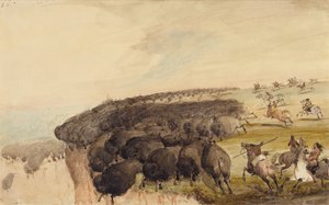 Driving Herds of Buffalo over a Precipice, c.1837