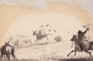 Mule Throwing Off His Pack
