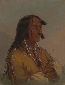 Shim-a-co-che, Crow Chief by Alfred Jacob Miller