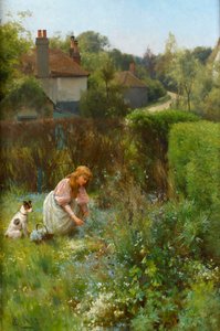 Picking Wild Flowers in the Hedgerow
