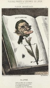 Déséchée flower: cartoon on Littré - ill. from 