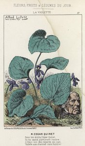 La Violette: Cartoon on Edgar Quinet - ill. from 09/03/1871 in 