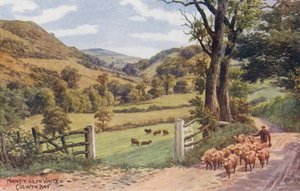 Nant Y Glyn Valley, Colwyn Bay