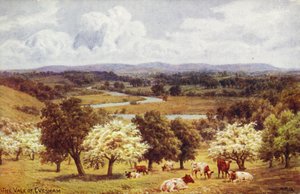 The Vale of Evesham by Alfred Robert Quinton