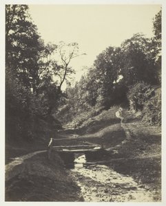 Scene near Godalming, Surrey