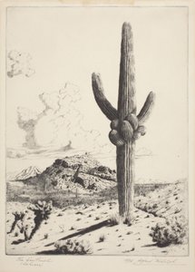 The Sentinel by Alfred Rudolph Waud
