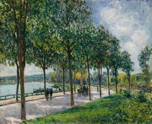 Alley of Chestnut Trees