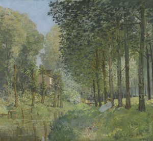 Rest by the Stream. Edge of the Woods