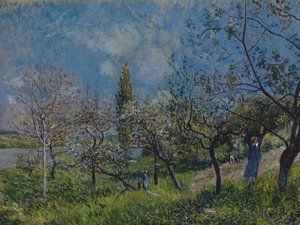 Orchard in Spring