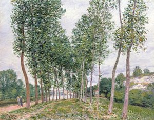 The Avenue of Poplars along the Banks of the Loing