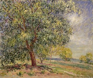 Walnut Tree at Sablons in Spring, 1885 by Alfred Sisley