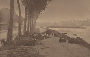 A Decorative Panel by Alfred Stieglitz