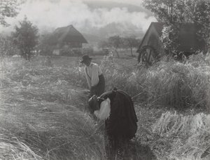 Harvesting, Black Forest by Alfred Stieglitz