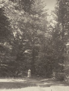 "Hedwigsweg" II, Lake George by Alfred Stieglitz