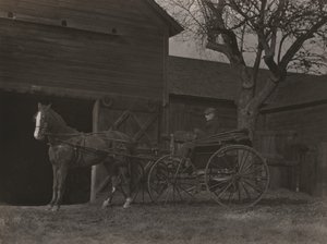 Horse and Carriage by Alfred Stieglitz