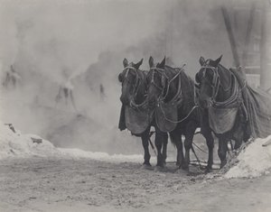 Horses, New York by Alfred Stieglitz