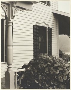 House and Grape Leaves, 1934 by Alfred Stieglitz