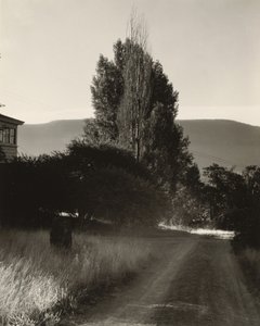 House and Poplars, Lake George by Alfred Stieglitz