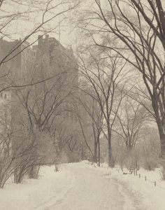 In the Park by Alfred Stieglitz