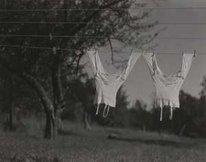 Long Underwear, Lake George by Alfred Stieglitz