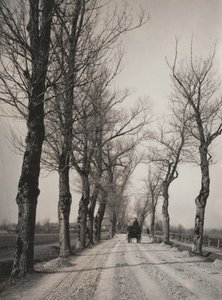 November Days by Alfred Stieglitz