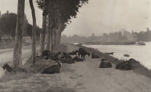 On the Seine—Near Paris by Alfred Stieglitz