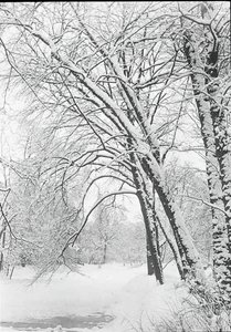 Snowscape, Berlin by Alfred Stieglitz