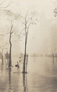 Street Sweeper and Little Tree by Alfred Stieglitz