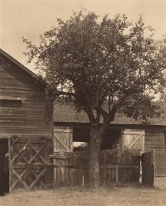 The Barn