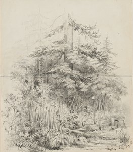 Indian Burial Place, Oregon by Alfred Thomas Agate
