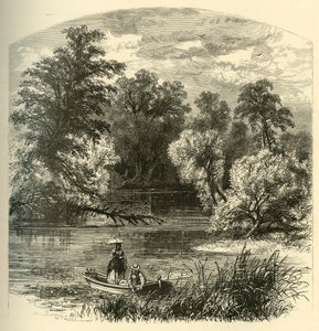 Group of Islets, 1874