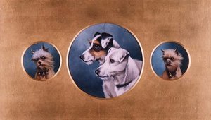 Fox Terriers and Yorkshire Terriers by Alfred Wheeler