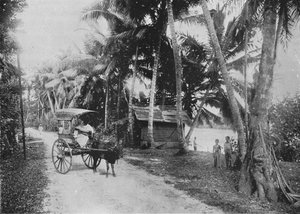 Road Beside the Kelaniya River, c1890