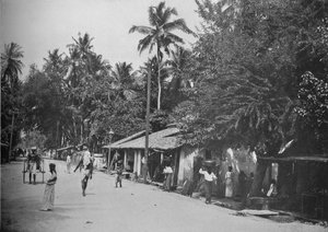 Roadside Scene on the Way to Mt. Lavinia