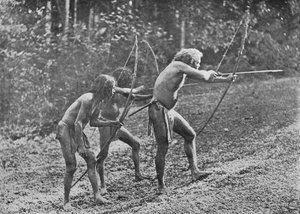 Veddahs or Wild Men