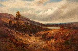 Highland Cattle on a Mountain Path