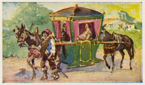 Horse-drawn litter
