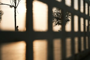 Golden Hour Silhouette by Ali Ayer