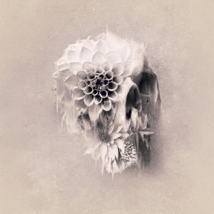 Ethereal Floral Skull by Ali Gulec