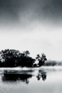 Boissy Morning, 2017