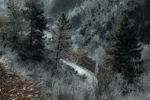 The Road from Milan, 2018