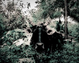 The Lodge Near Periyar, 2020
