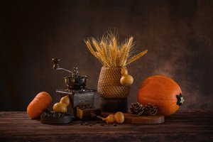Cozy Fall Coffee by Alice Sheng