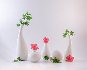 Elegant Floral Still Life by Alice Sheng